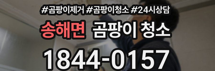 송해면 곰팡이 청소