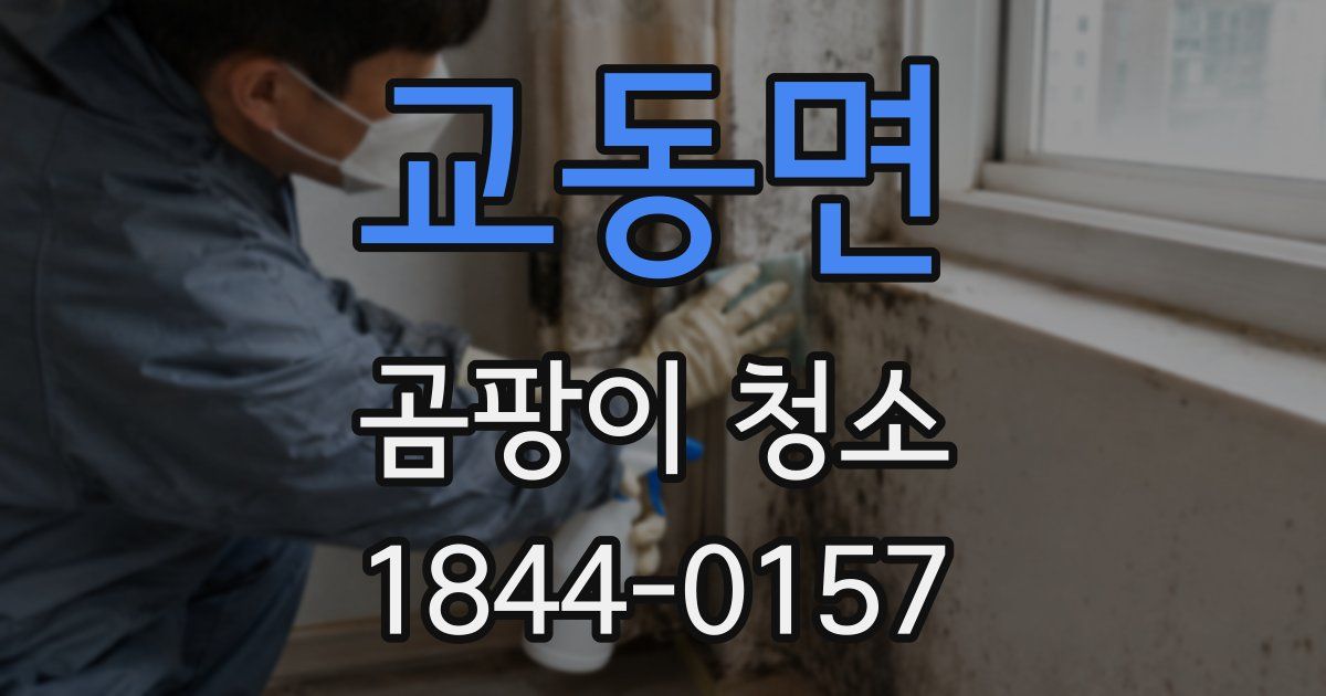 교동면 곰팡이 청소