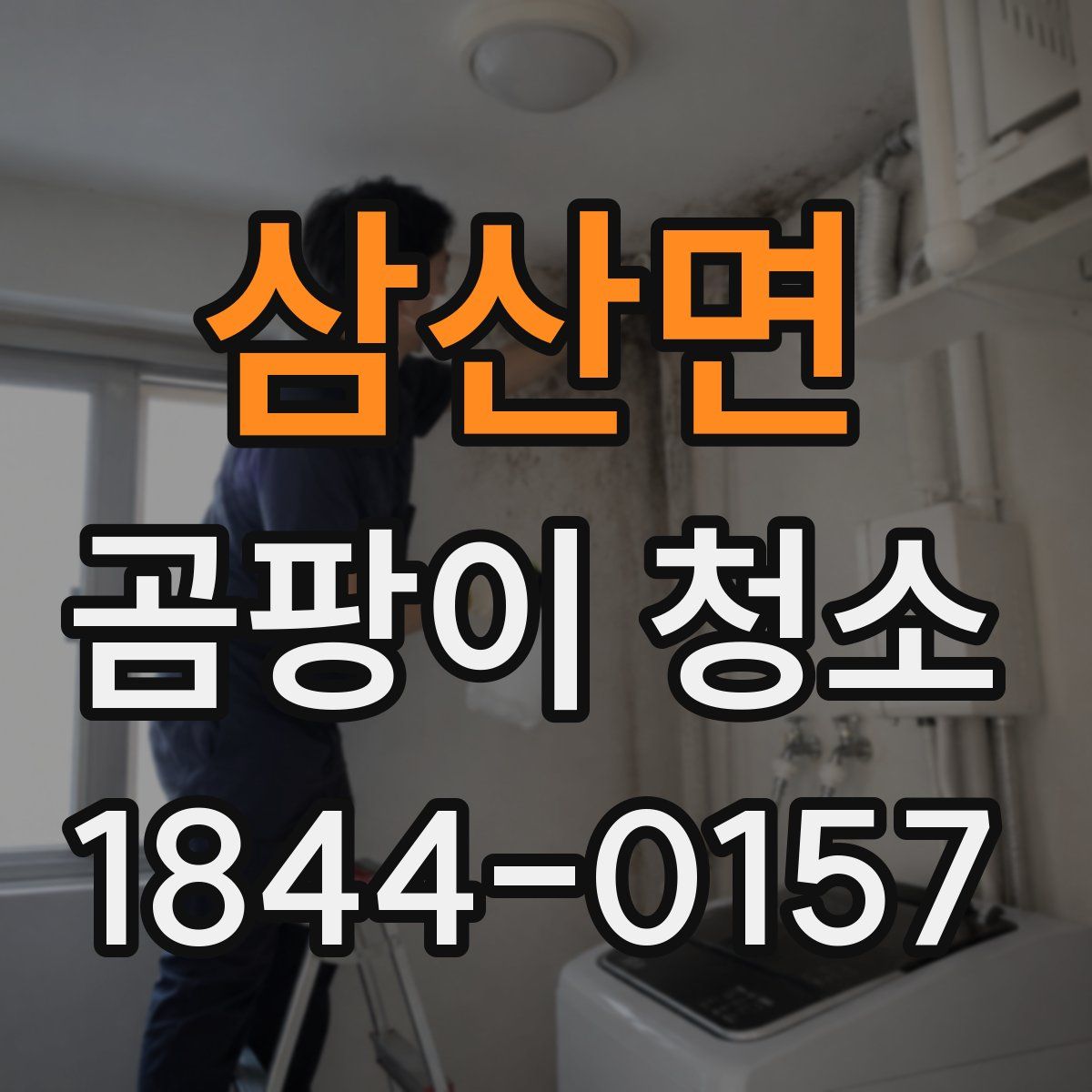 삼산면 곰팡이 청소