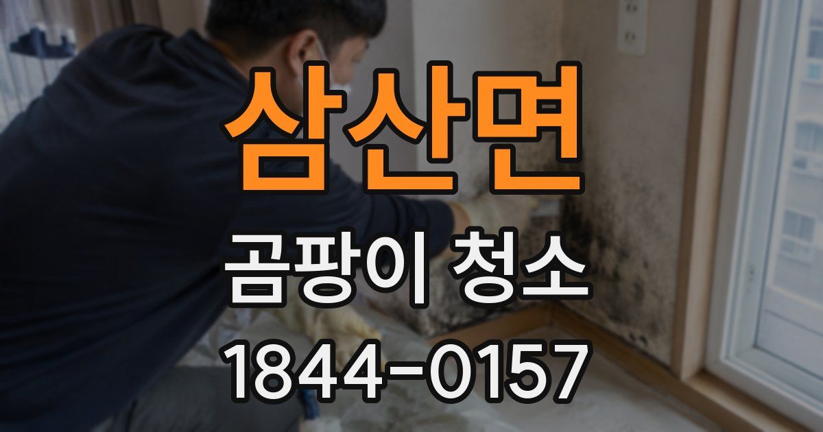 삼산면 곰팡이 청소
