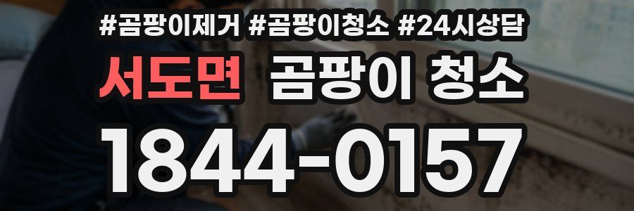 서도면 곰팡이 청소