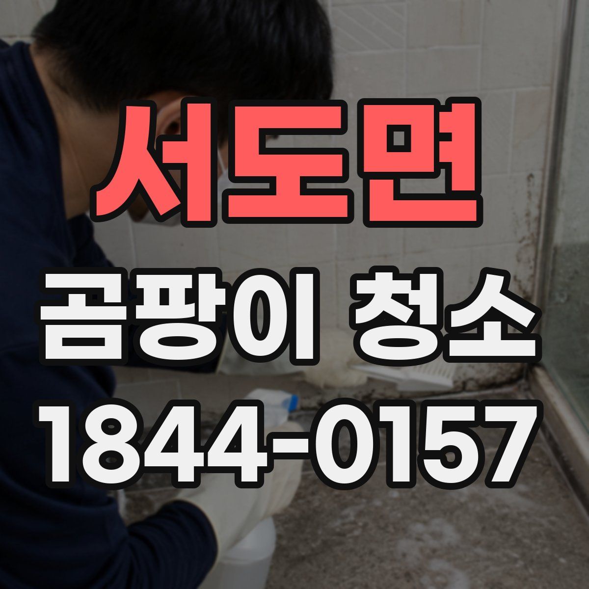 서도면 곰팡이 청소