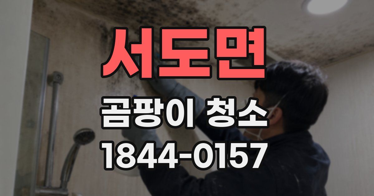 서도면 곰팡이 청소