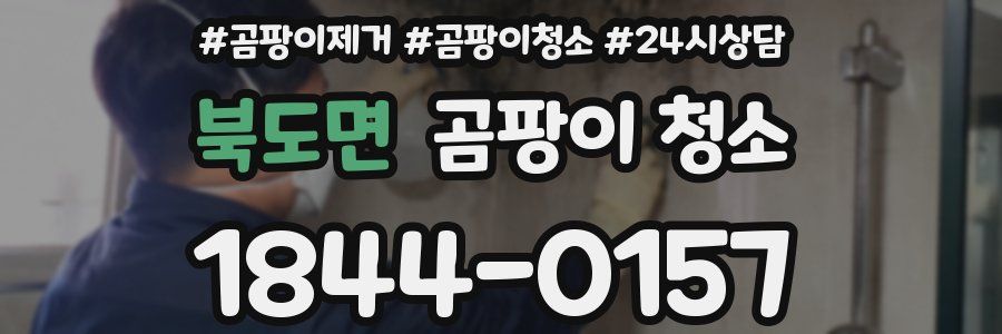 북도면 곰팡이 청소