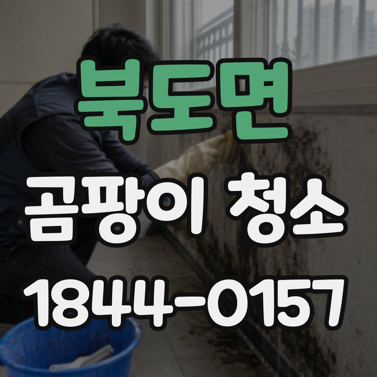 북도면 곰팡이 청소