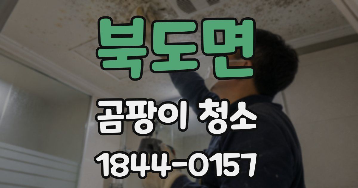 북도면 곰팡이 청소