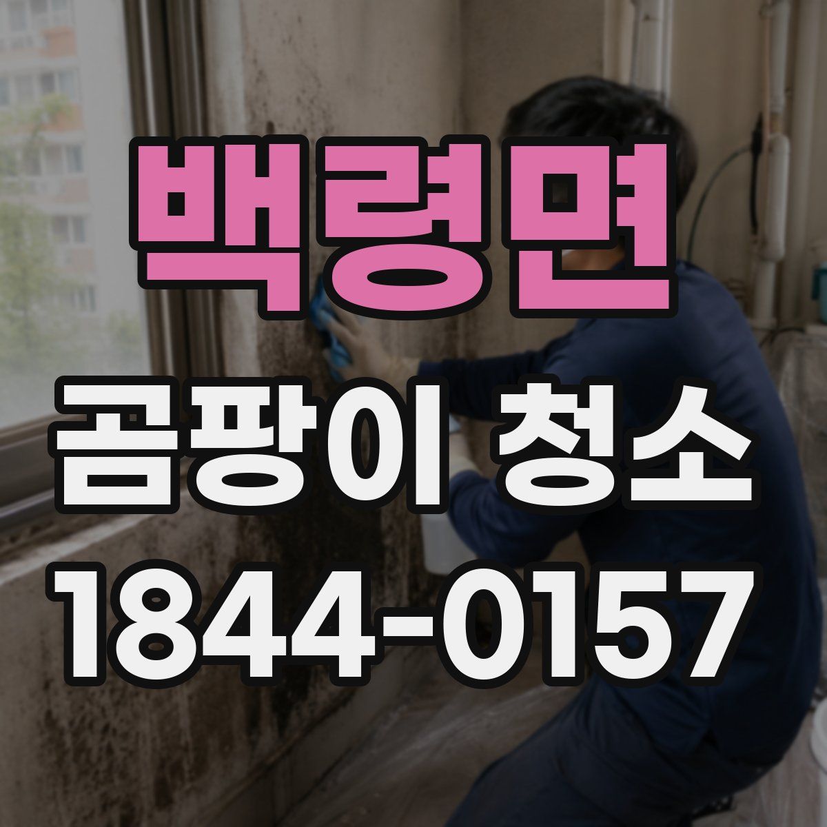 백령면 곰팡이 청소