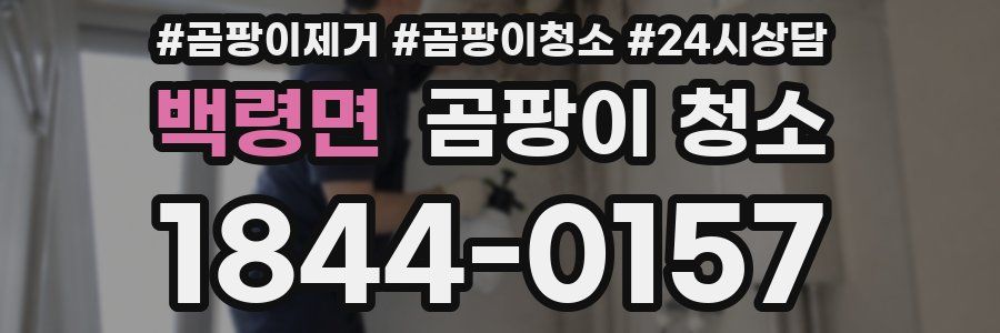 백령면 곰팡이 청소
