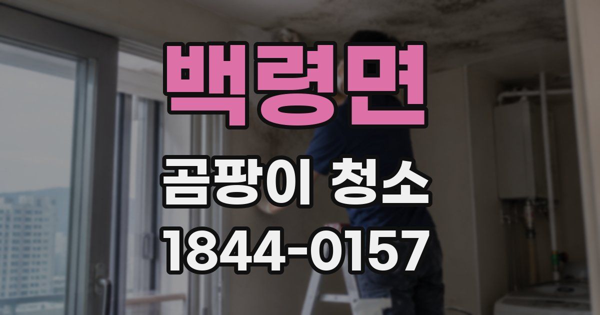 백령면 곰팡이 청소