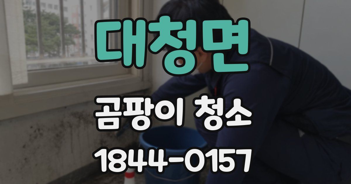 대청면 곰팡이 청소