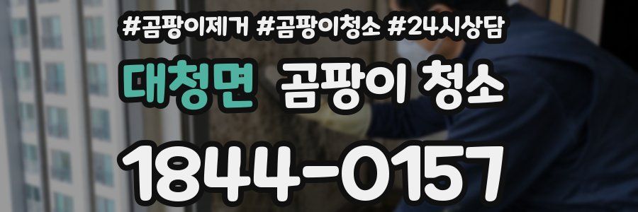 대청면 곰팡이 청소