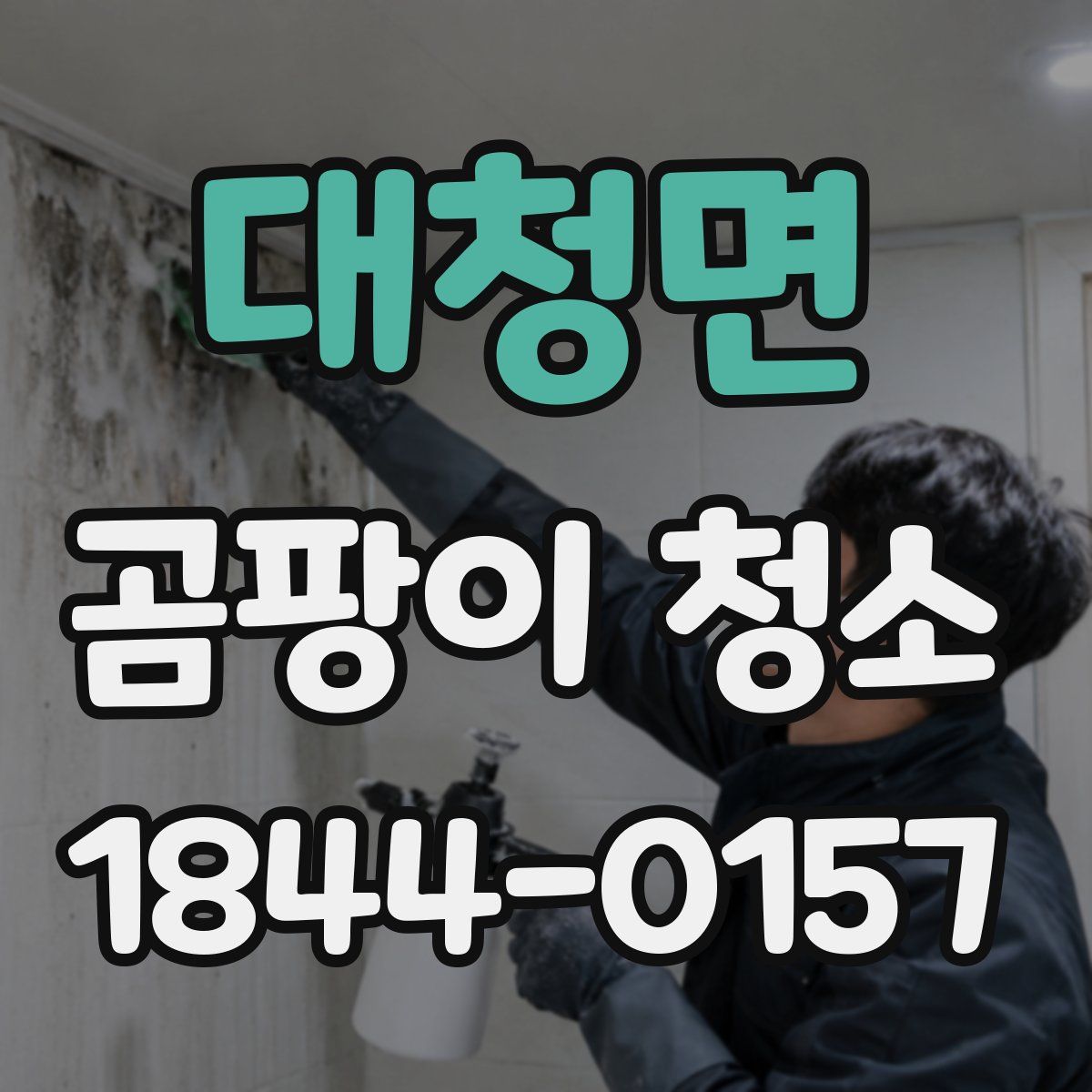 대청면 곰팡이 청소