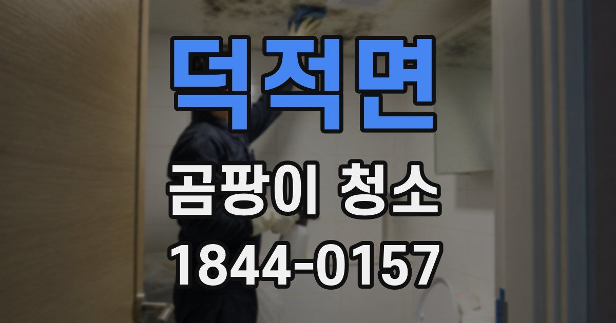 덕적면 곰팡이 청소