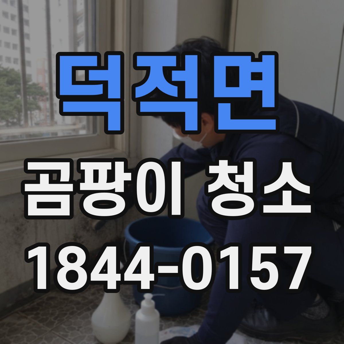 덕적면 곰팡이 청소