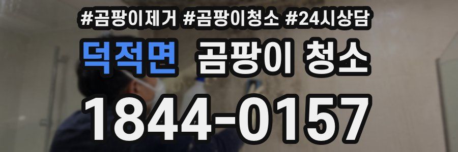 덕적면 곰팡이 청소