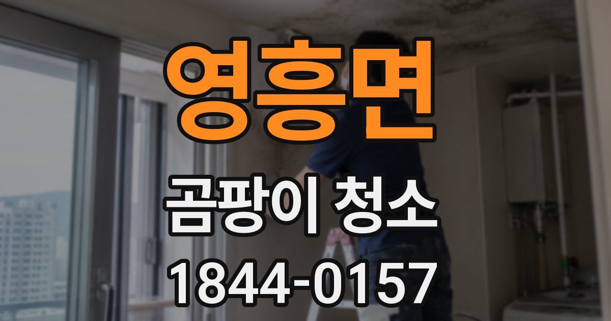 영흥면 곰팡이 청소