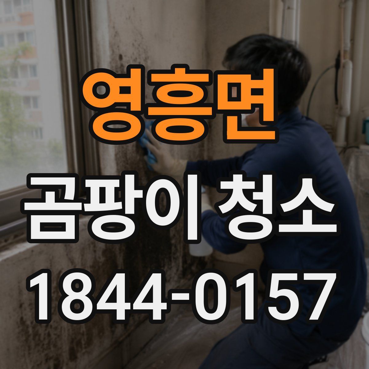 영흥면 곰팡이 청소