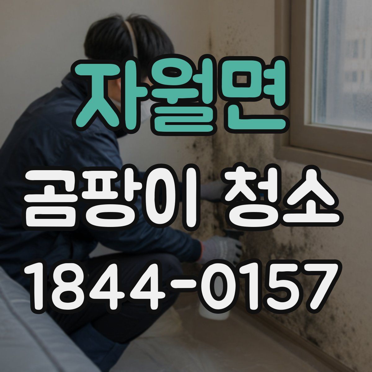 자월면 곰팡이 청소