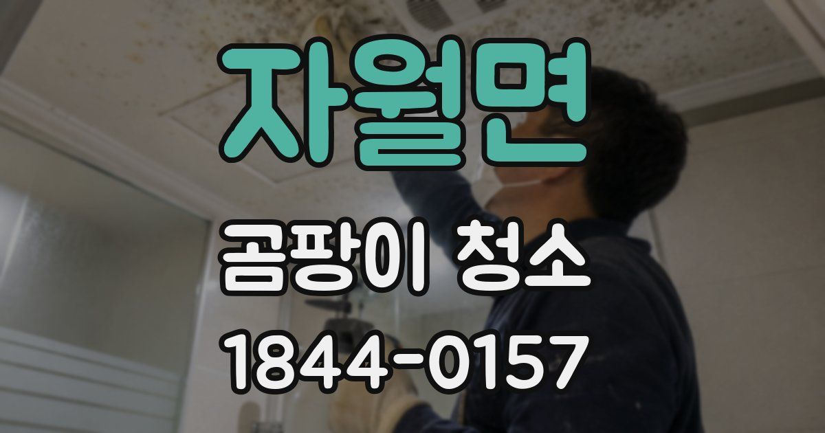 자월면 곰팡이 청소