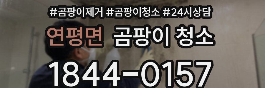 연평면 곰팡이 청소