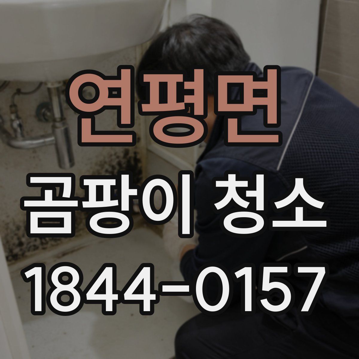 연평면 곰팡이 청소