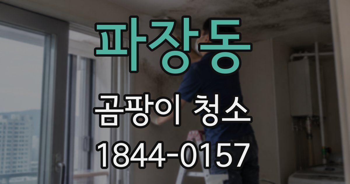 파장동 곰팡이 청소