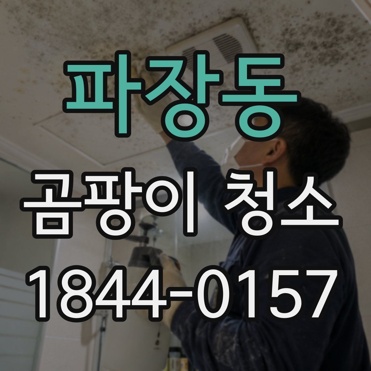 파장동 곰팡이 청소