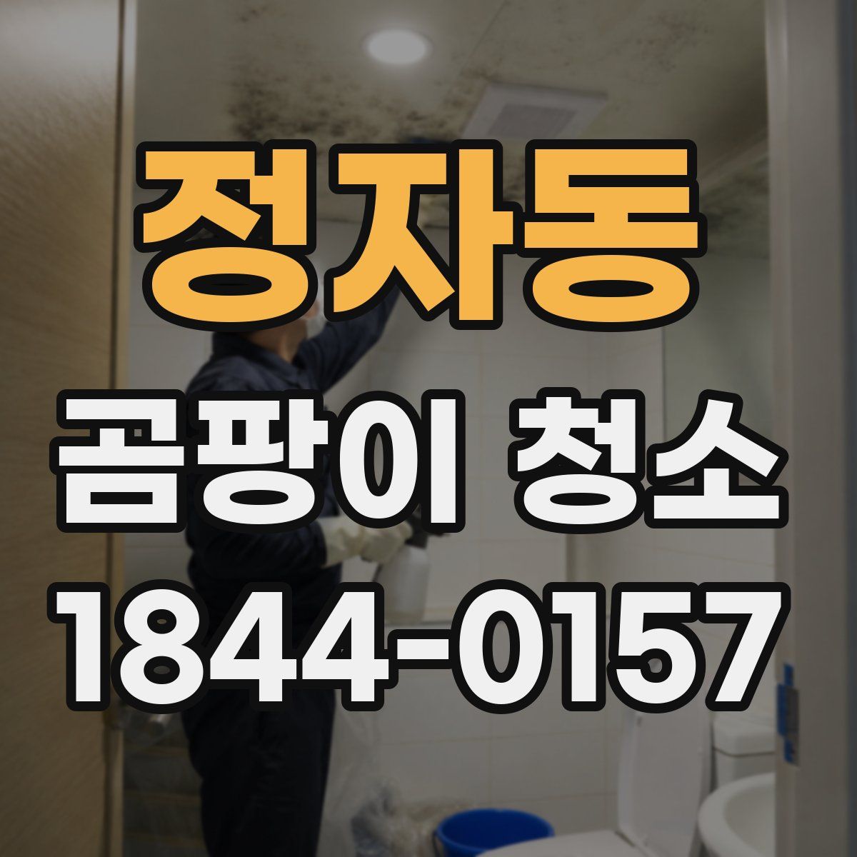 정자동 곰팡이 청소