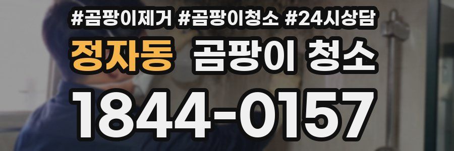 정자동 곰팡이 청소