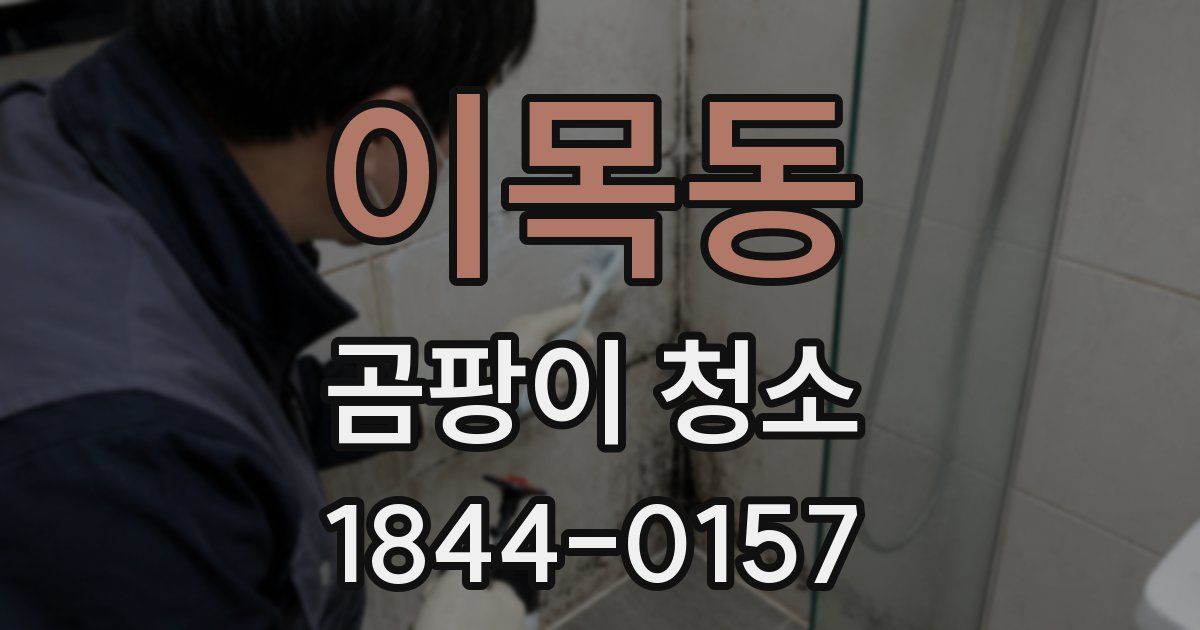 이목동 곰팡이 청소
