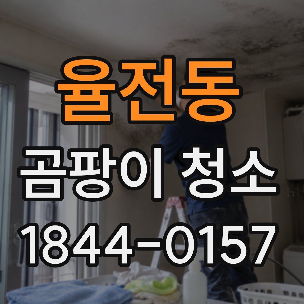 율전동 곰팡이 청소 천장 얼룩이 넓어졌을 때 먼저 할 일