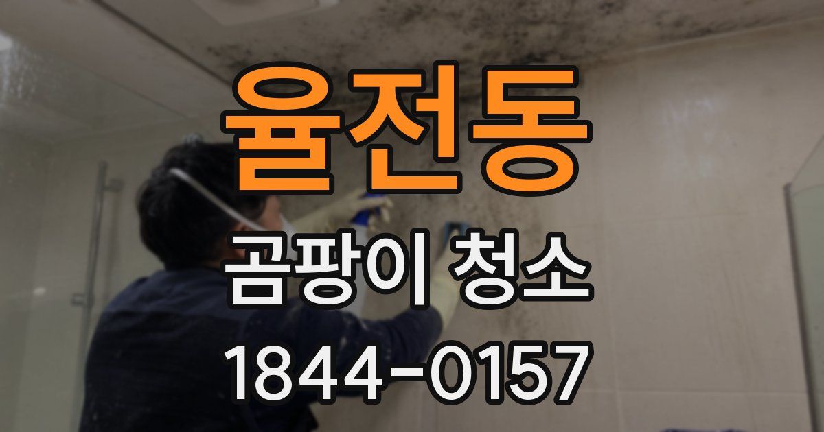 율전동 곰팡이 청소