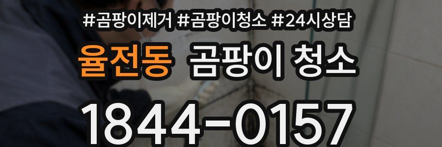 율전동 곰팡이 청소