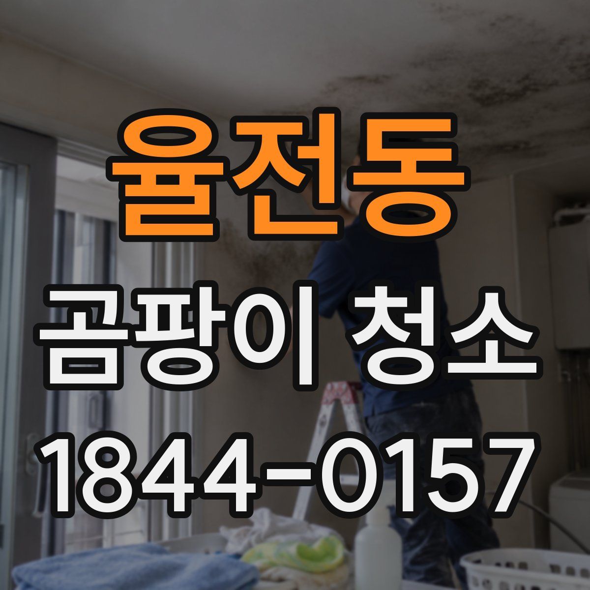 율전동 곰팡이 청소