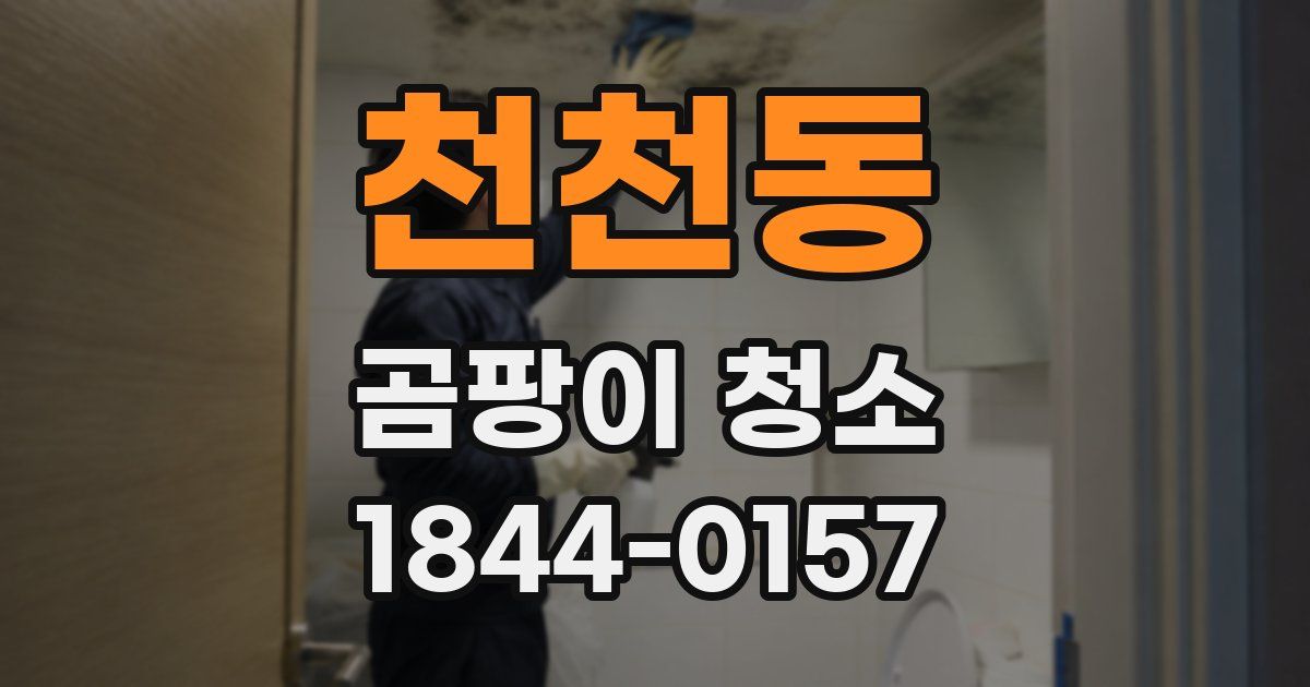 천천동 곰팡이 청소