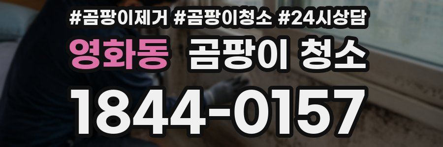 영화동 곰팡이 청소