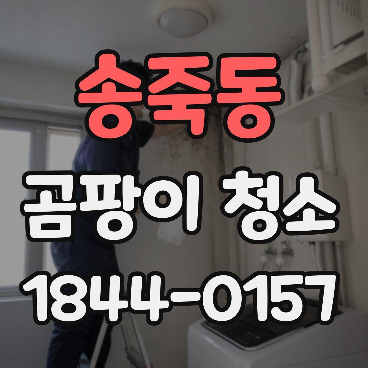 송죽동 곰팡이 청소