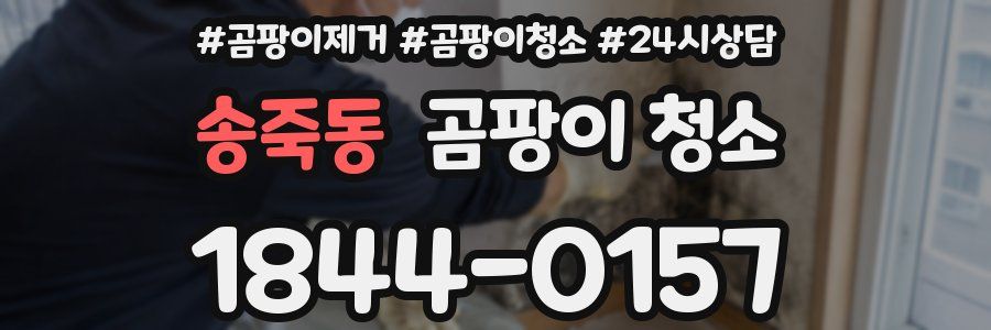 송죽동 곰팡이 청소