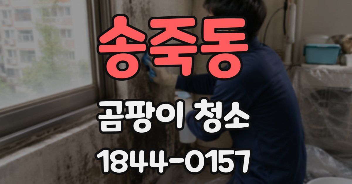 송죽동 곰팡이 청소