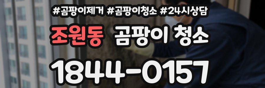조원동 곰팡이 청소