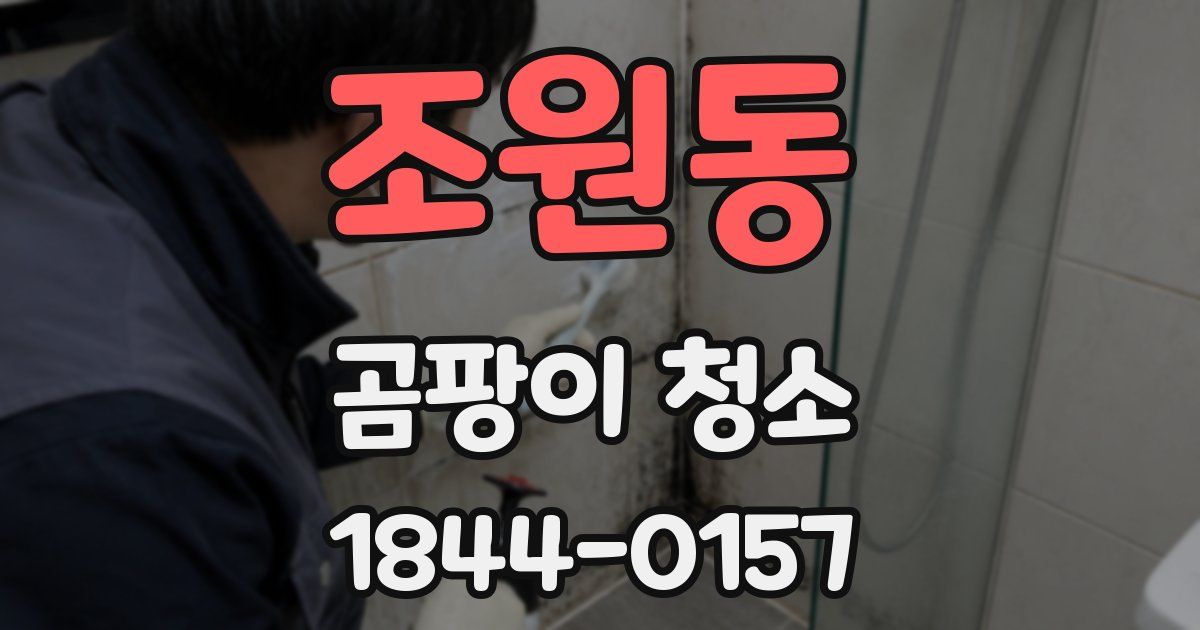 조원동 곰팡이 청소