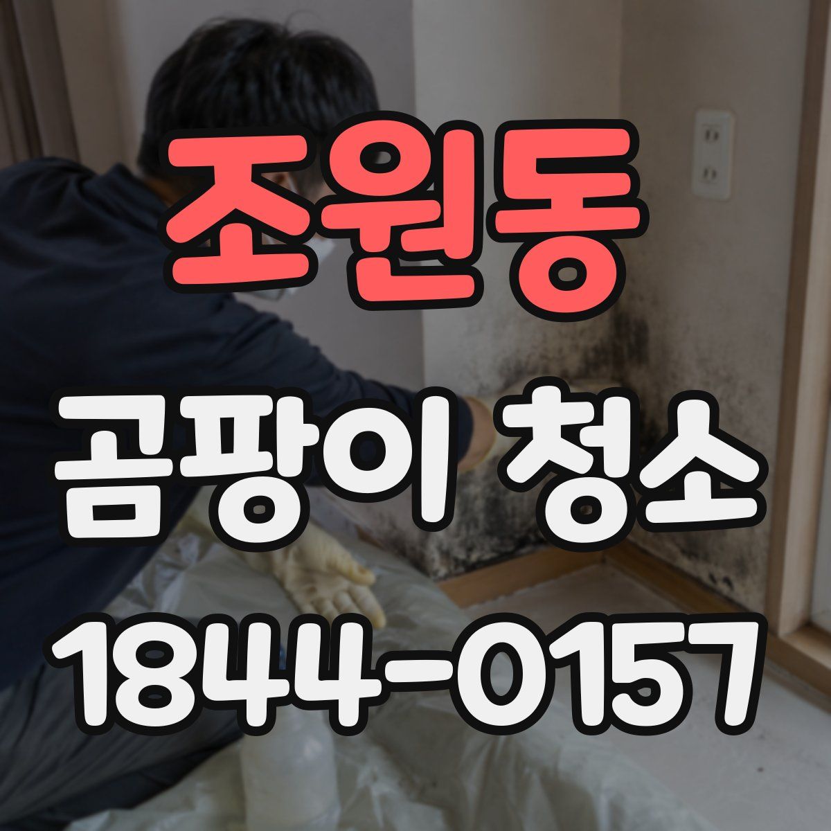 조원동 곰팡이 청소
