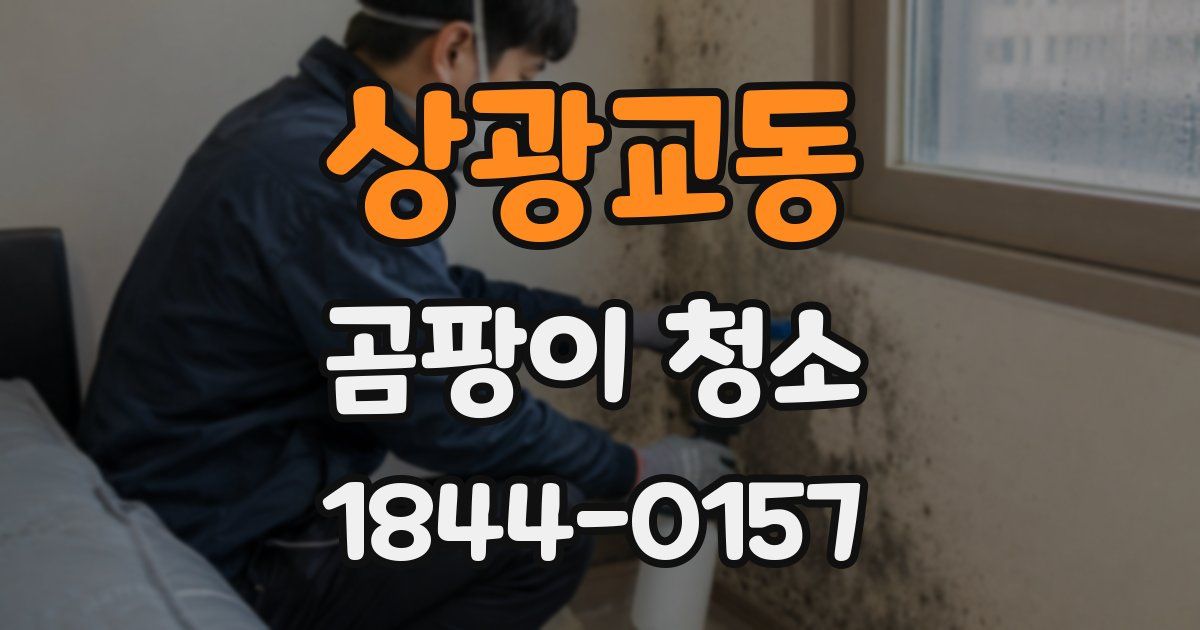 상광교동 곰팡이 청소