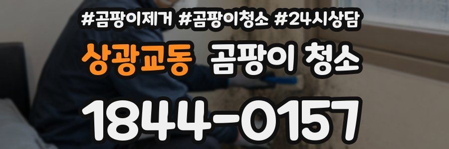 상광교동 곰팡이 청소