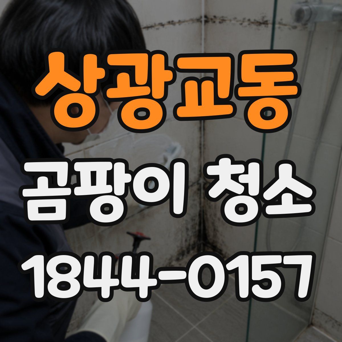상광교동 곰팡이 청소