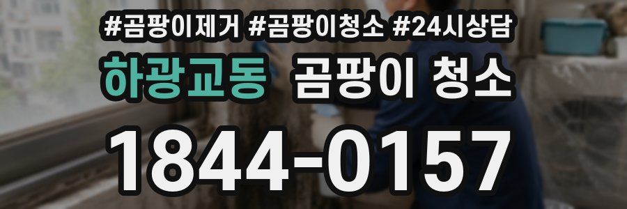 하광교동 곰팡이 청소