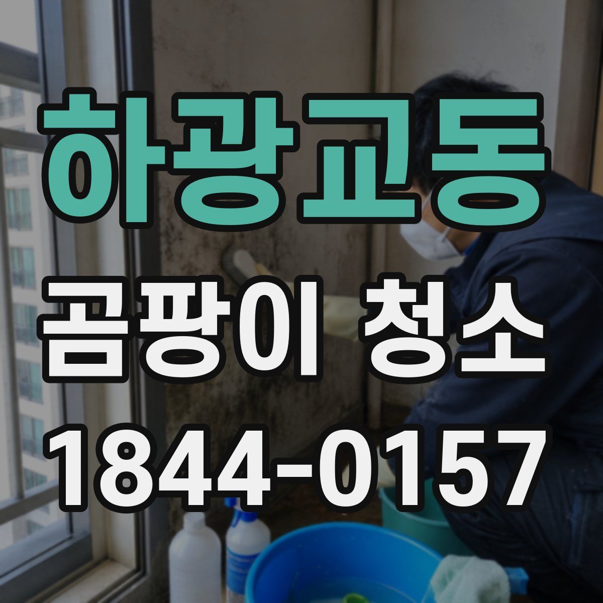 하광교동 곰팡이 청소