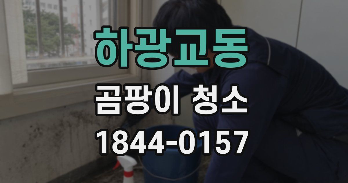 하광교동 곰팡이 청소