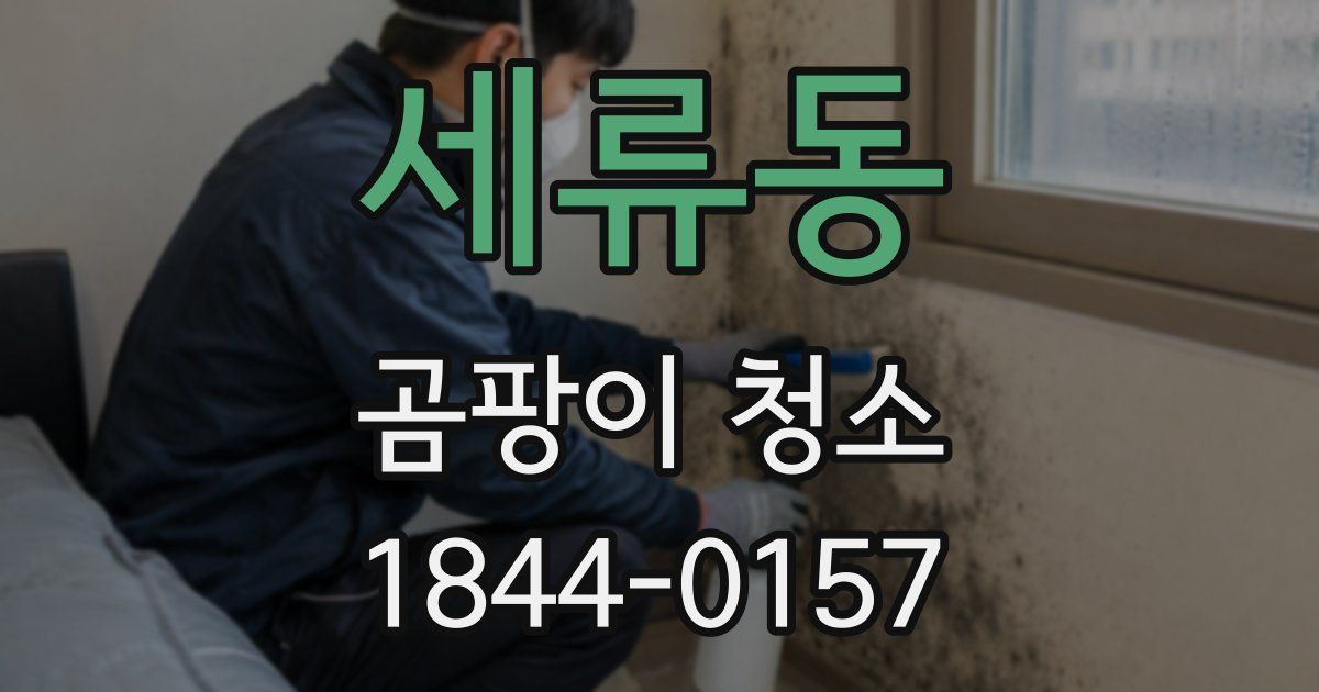 세류동 곰팡이 청소
