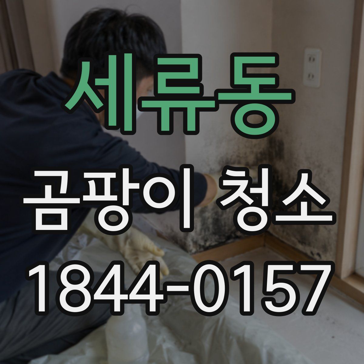 세류동 곰팡이 청소